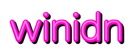 winidn — logo kanal